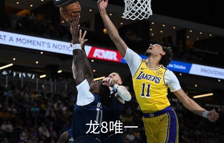龙8唯一概况